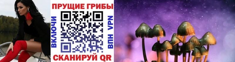 Галлюциногенные грибы Cubensis Дыгулыбгей